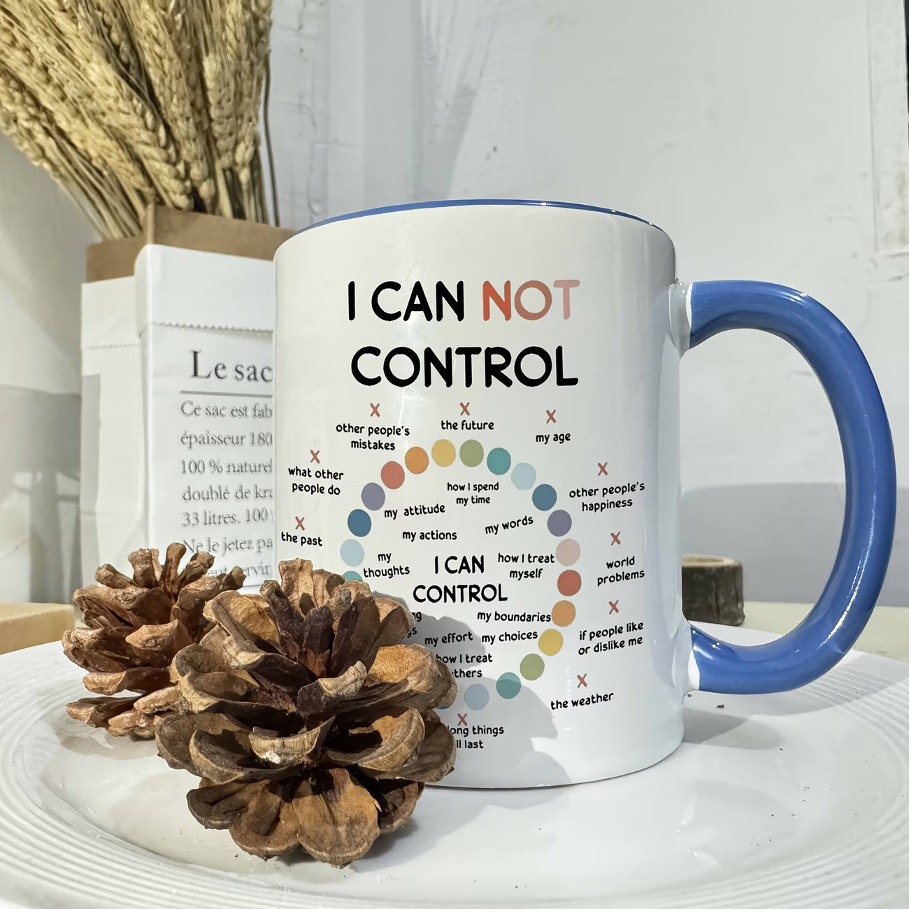 Motivational "Things I Can Control" Ceramic Coffee Mug – Mindfulness & Mental Health Daily Reminder Novelty Cup (M1117)