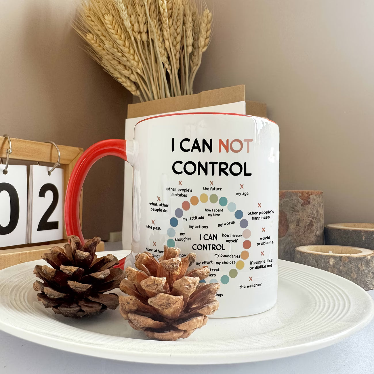 Motivational "Things I Can Control" Ceramic Coffee Mug – Mindfulness & Mental Health Daily Reminder Novelty Cup (M1117)